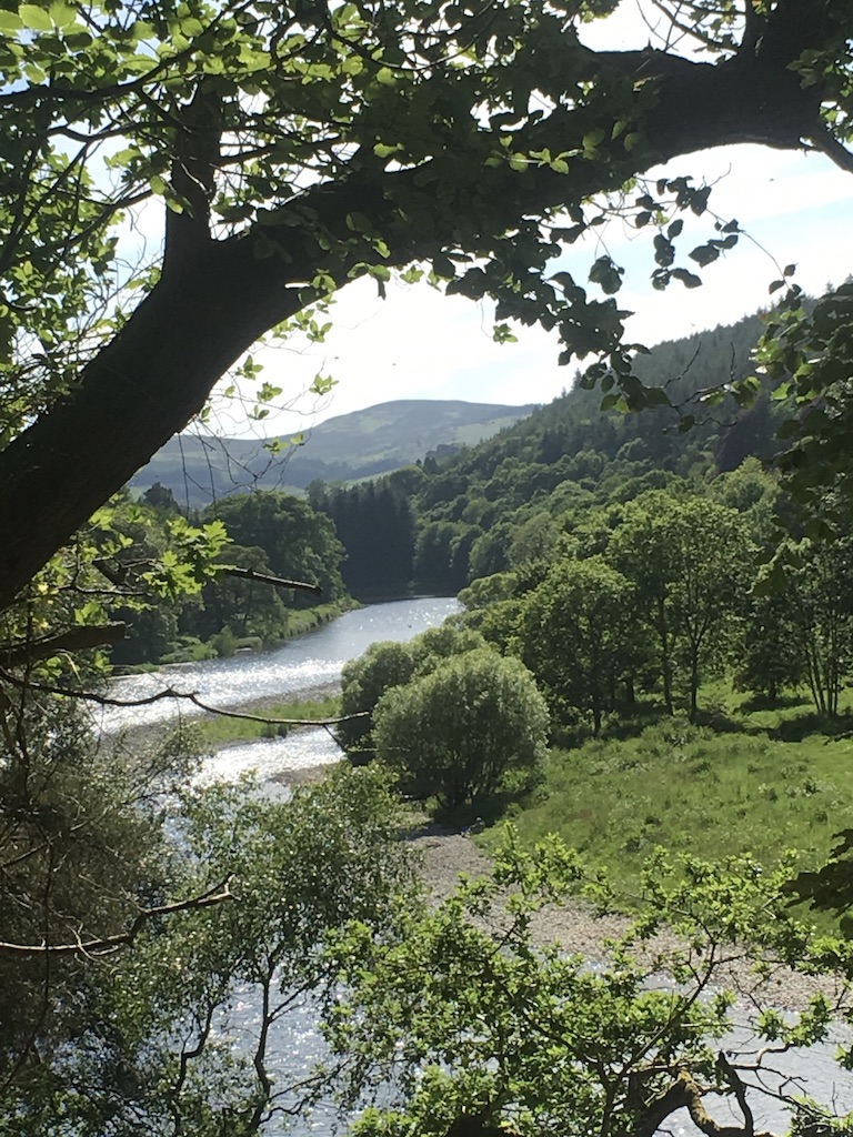Abbotsford’s rooms and gardens, enjoy sweeping views of the trees and meadowlands leading down to the River Tweed. The mighty Tweed is an integral part of Borders life, and it courses through Scott’s writing and his life at Abbotsford. 

scottsabbotsford.com
