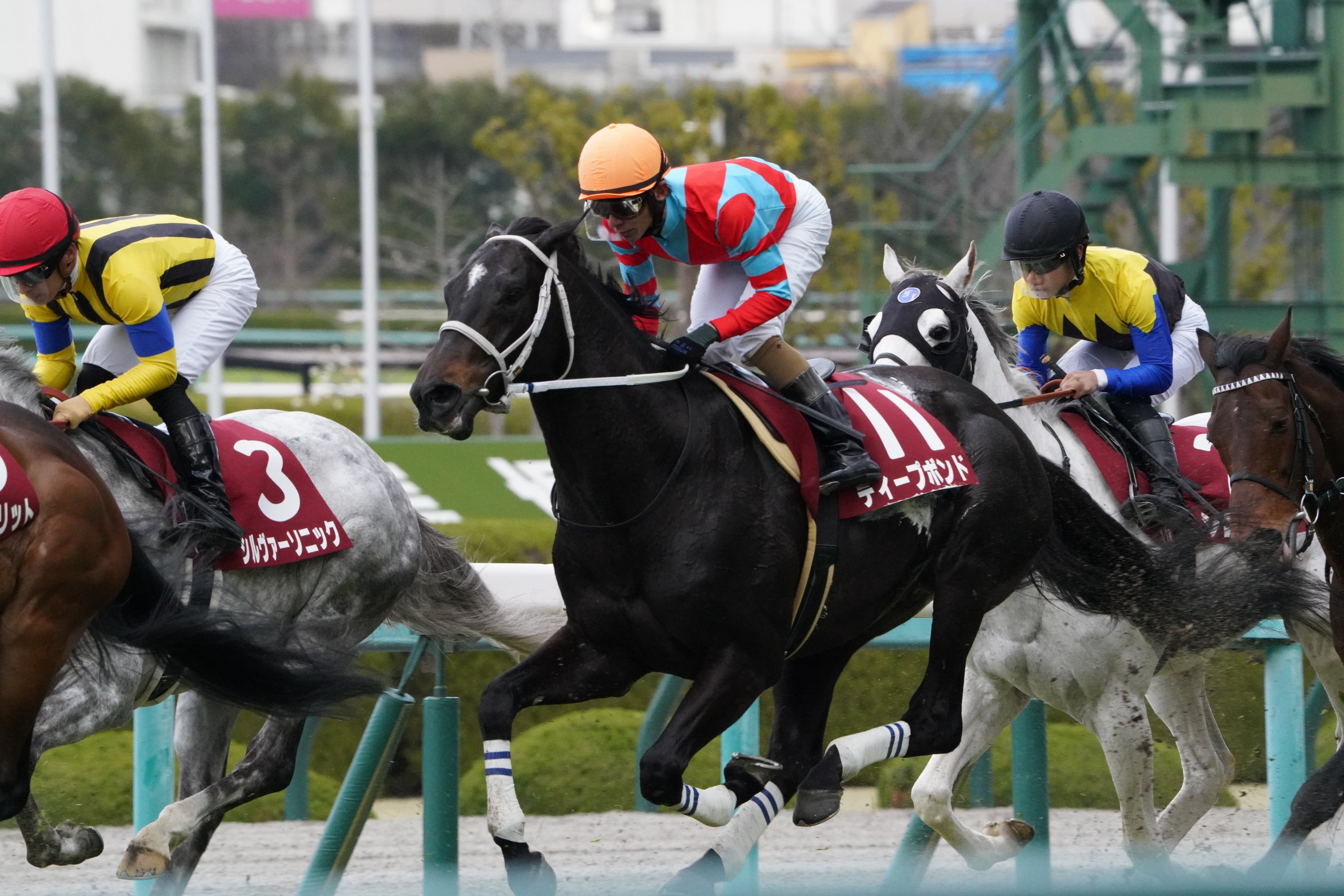 京都大賞典⑭番アイアンバローズ応援馬券 🐎午寅ごいん🐯 on X: 