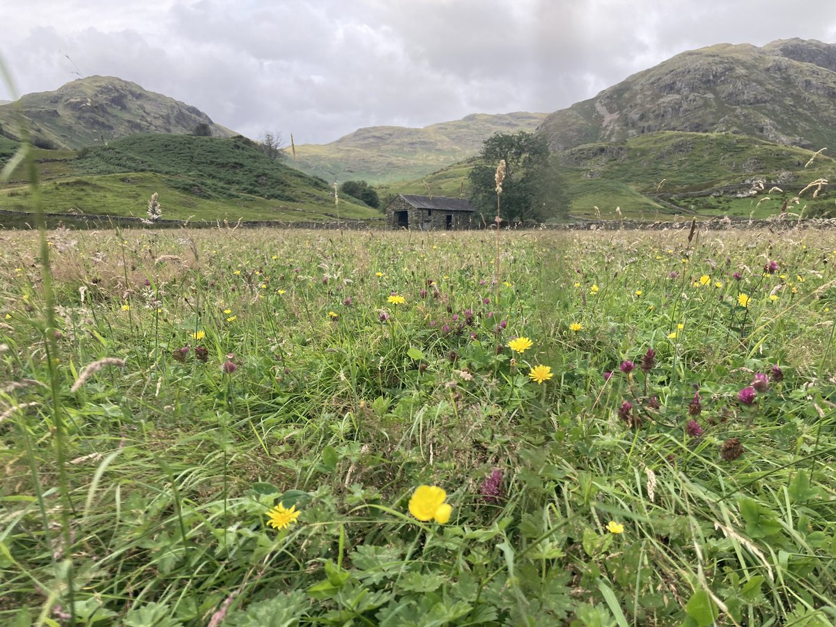 Tom Palmer (@tompalmerauthor) on Twitter photo Big meeting today. A farmer. An illustrator. An author. Planning a book… Big meeting today. A farmer. An illustrator. An author. Planning a book…