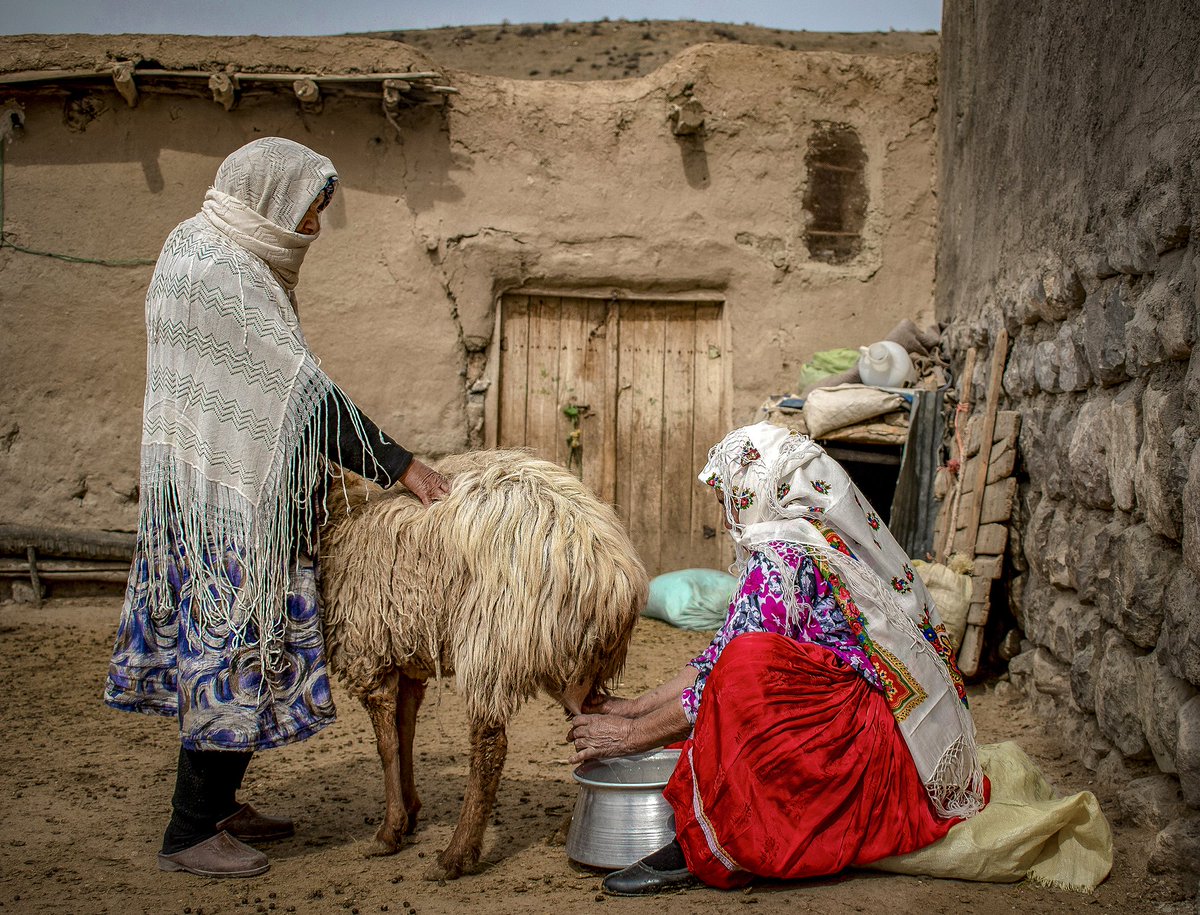 Elaheh Mollaei (@elahehmollaei) on Twitter photo <a href="/0xDariush/">Dariush ⌐◨-◨</a> <a href="/objktcom/">objkt</a> "Kurmanj Woman" ❤️
Two Kurdish women sit in the sun, milking a sheep. The soft rhythms of a village morning begin with such quiet sounds.
3 ed
💰 20 $ xtz
objkt.com/tokens/open_ob…
<a href="/shimashots/">Shimashots</a> <a href="/TheSamina_/">Samina</a> <a href="/0xDariush/">Dariush ⌐◨-◨</a> <a href="/objktcom/">objkt</a> "Kurmanj Woman" ❤️
Two Kurdish women sit in the sun, milking a sheep. The soft rhythms of a village morning begin with such quiet sounds.
3 ed
💰 20 $ xtz
objkt.com/tokens/open_ob…
<a href="/shimashots/">Shimashots</a> <a href="/TheSamina_/">Samina</a>