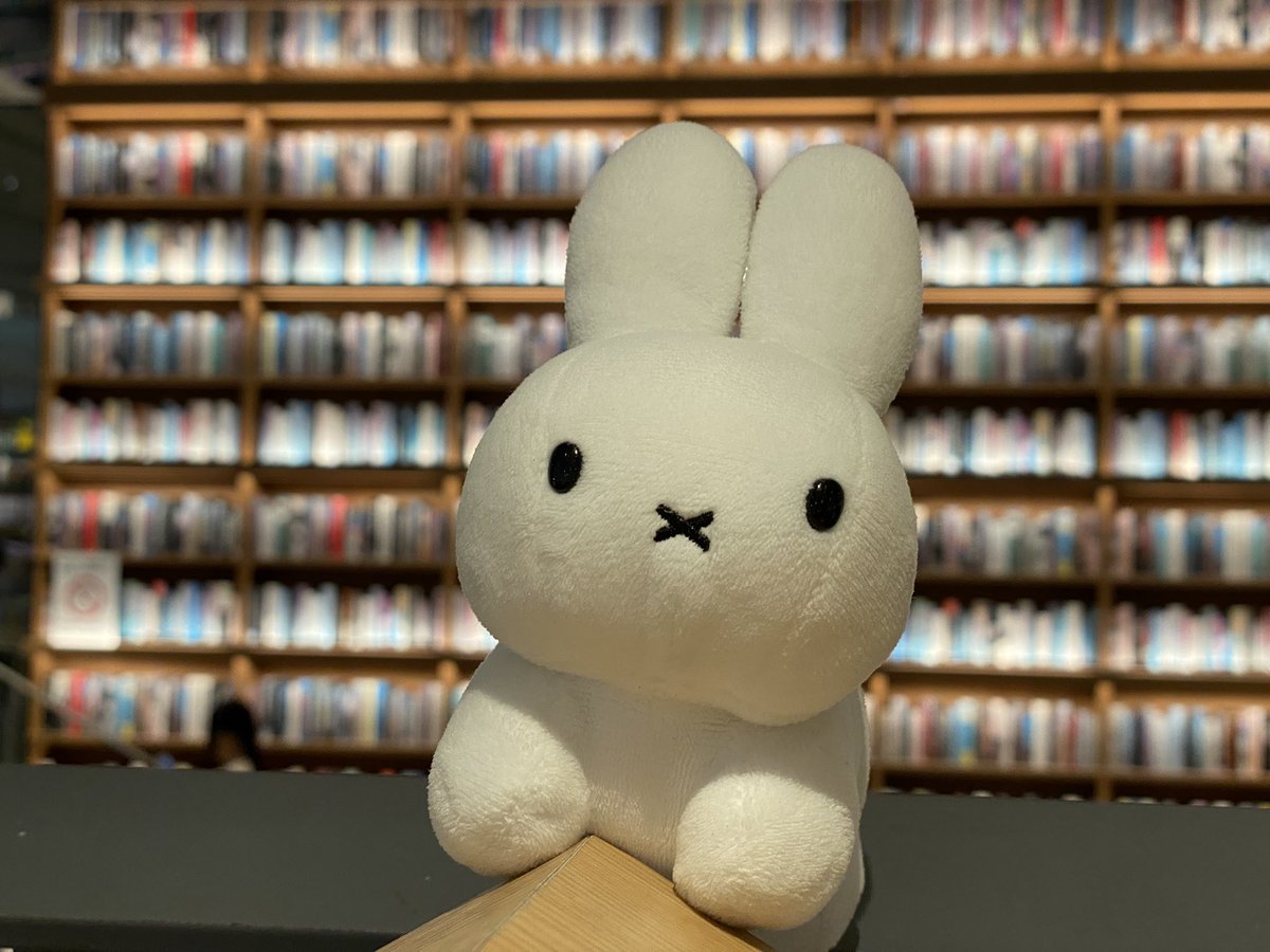 野生のうさぎ on X: 