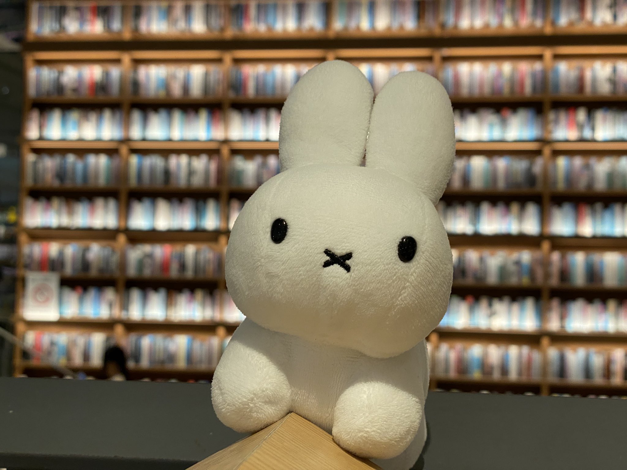 うさこ4点 パールボタンうさ耳エコファーコート – BUNNY APARTMENT