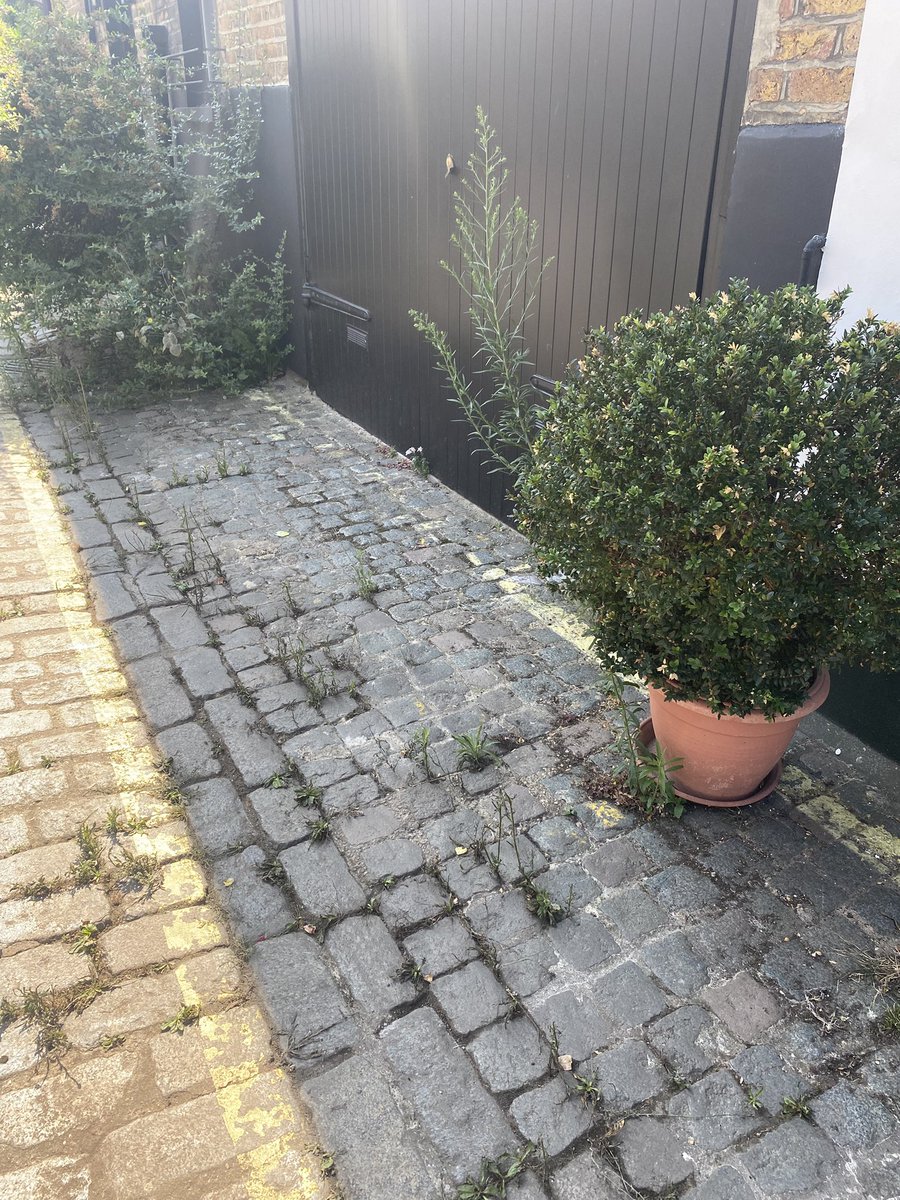 Lorraine__Dean's tweet image. A number of residents in Pindock Mews contacted Melvyn and myself about the abundance of weeds on the cobble stones. We are pleased to have arranged for the Mews to be weeded and cleaned.
#LittleVenice #casework