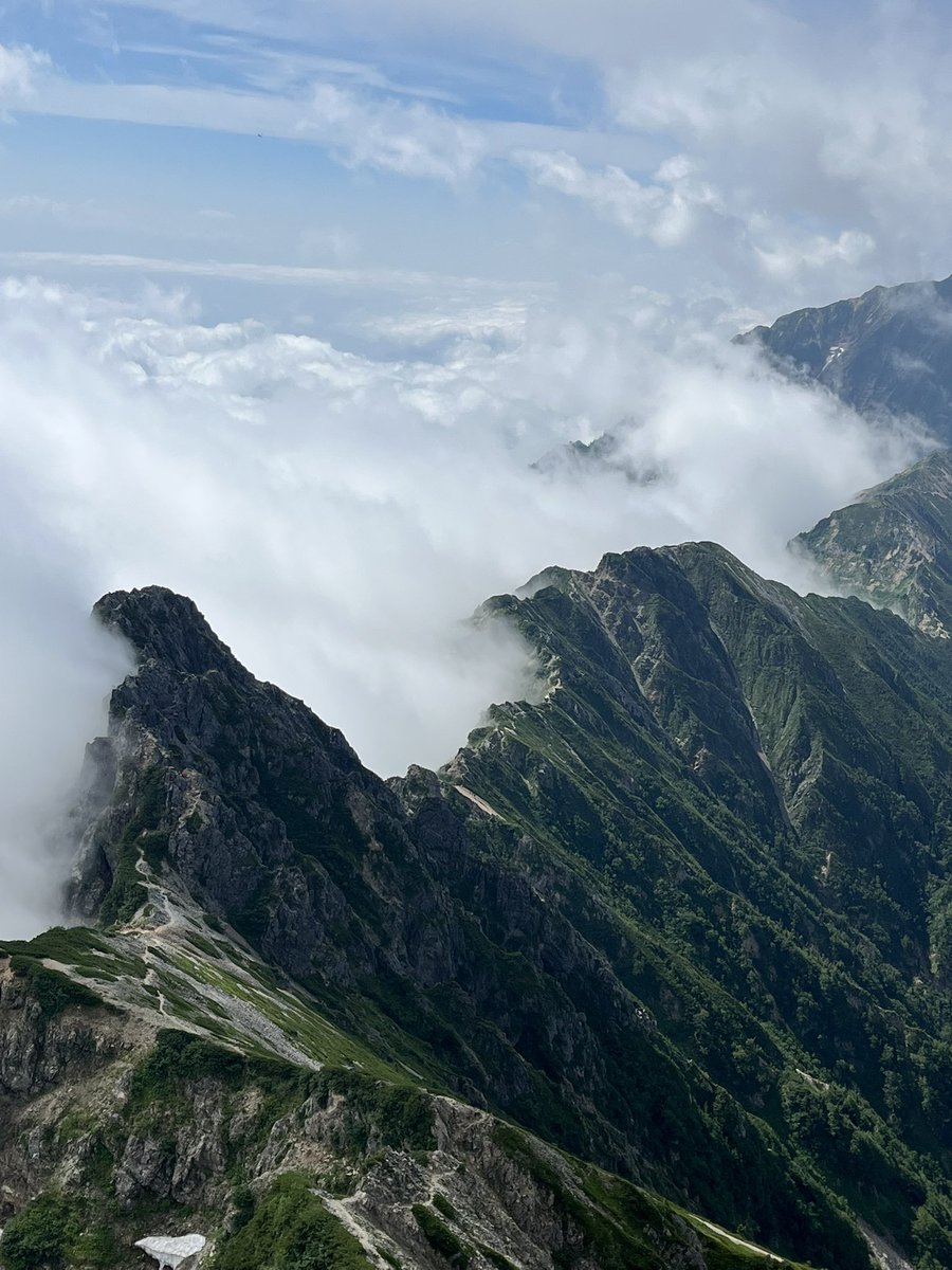 かりんページです 1280px-