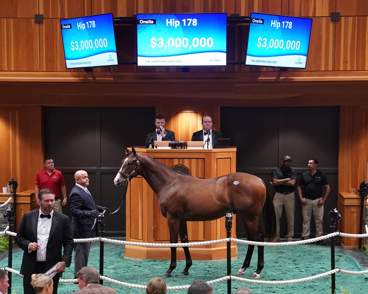 Stonestreet (@stonestreetfarm) on Twitter photo Into Mischief x Lady Kate colt has it all! Congrats and best of racing luck to <a href="/resracingky/">Resolute Racing</a> #stonestreet #bredforbrilliance <a href="/FasigTiptonCo/">Fasig-Tipton</a> <a href="/spendthriftfarm/">Spendthrift Farm</a> Into Mischief x Lady Kate colt has it all! Congrats and best of racing luck to <a href="/resracingky/">Resolute Racing</a> #stonestreet #bredforbrilliance <a href="/FasigTiptonCo/">Fasig-Tipton</a> <a href="/spendthriftfarm/">Spendthrift Farm</a>