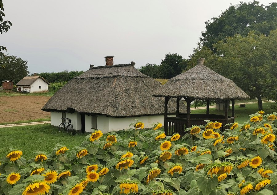 HunsteadProject's tweet image. Manage properties like this online in the Hunstead gaming platform coming soon...

@Titchy_world