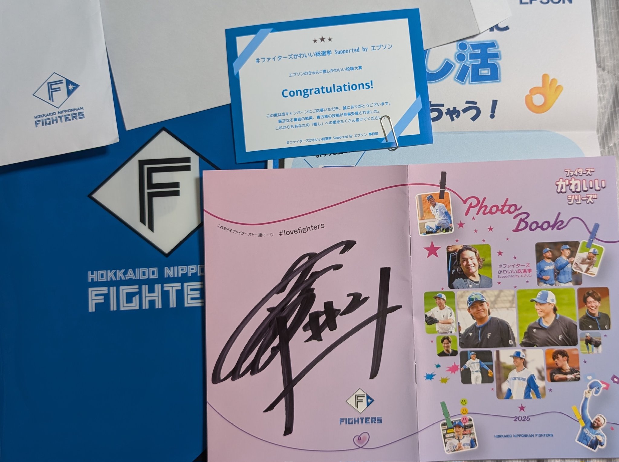 ファンイニョプ直筆サイン入りクリアファイル(当選保証付き) BBM Authentic Collection (-) 直筆サイン入りフォトパネル 保証