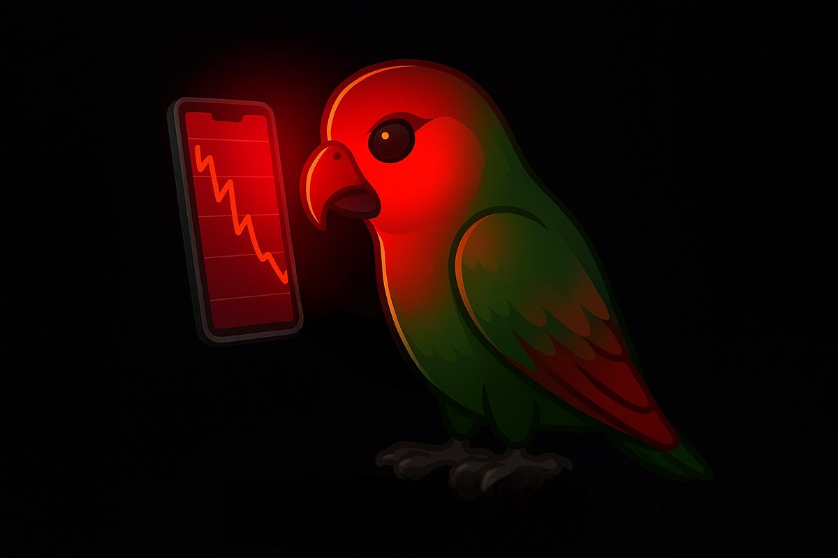 B哥⭐社区长期主义战士 tweet media