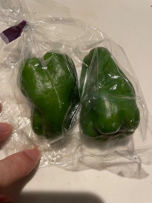 ピーマン

シャドウバンは諦めてます。
一時的に解除されようがセンシティブな画像はアップしてくので、
また戻るだけです。
もう慣れました。 