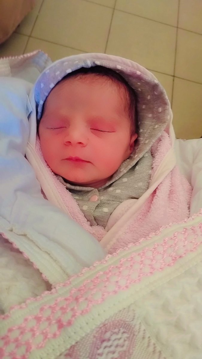 Bu güzel bebek artık hayatta değil…

Annesi Dr. Haneen, El-Şifa Hastanesi’nde yaralıları tedavi ederken, 5 aylık bebeğinin cansız bedenini kucağına verdiler. Terörist İsrail, tıpkı Gazze’deki binlerce anne gibi, Dr. Haneen’i de evladından kopardı. #GazaGenocide‌