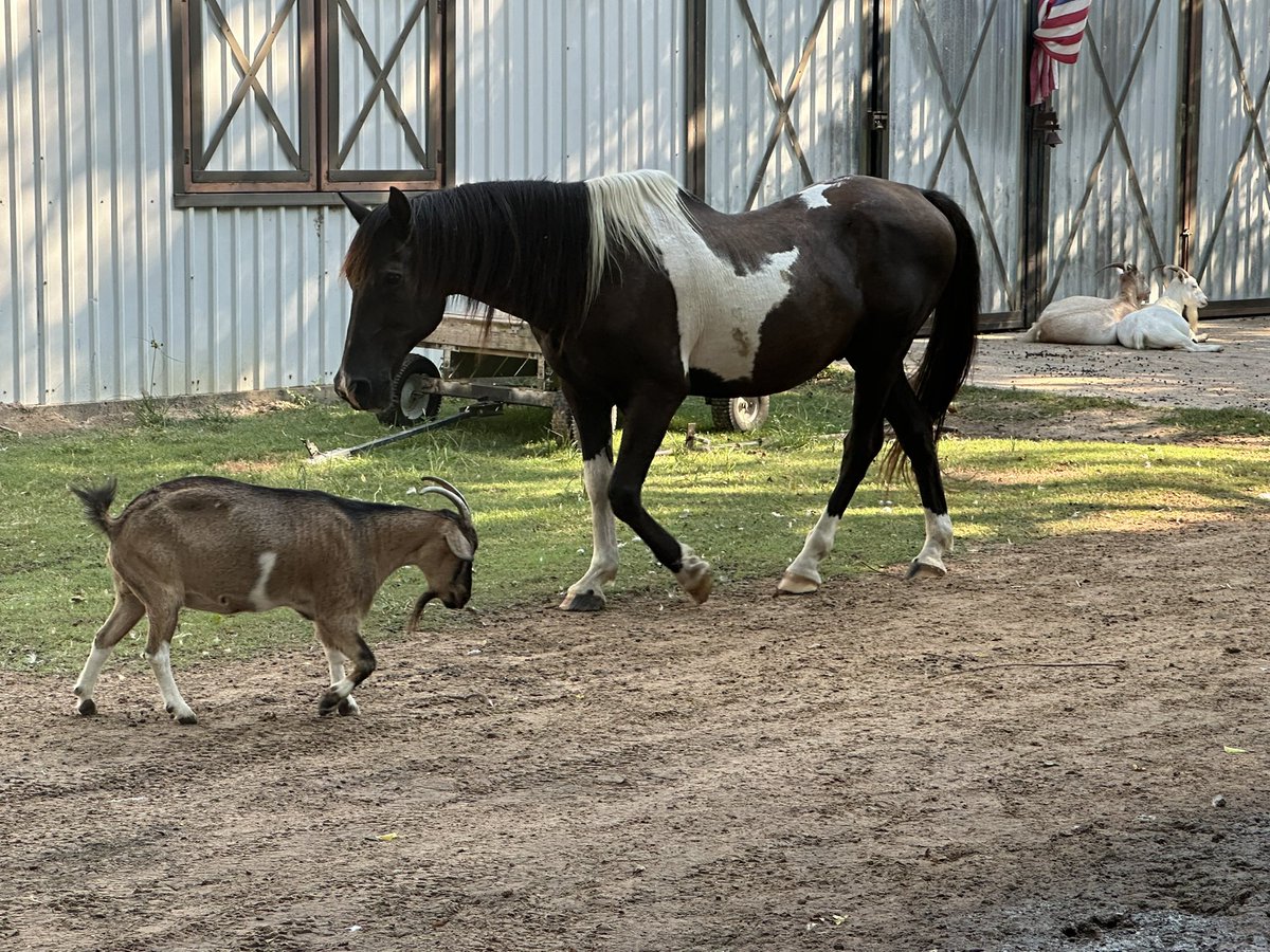 Day two of this year was full of team building, collaboration, and fun while learning! #adventureawaits Good vibes only at The Good Vibe Farm