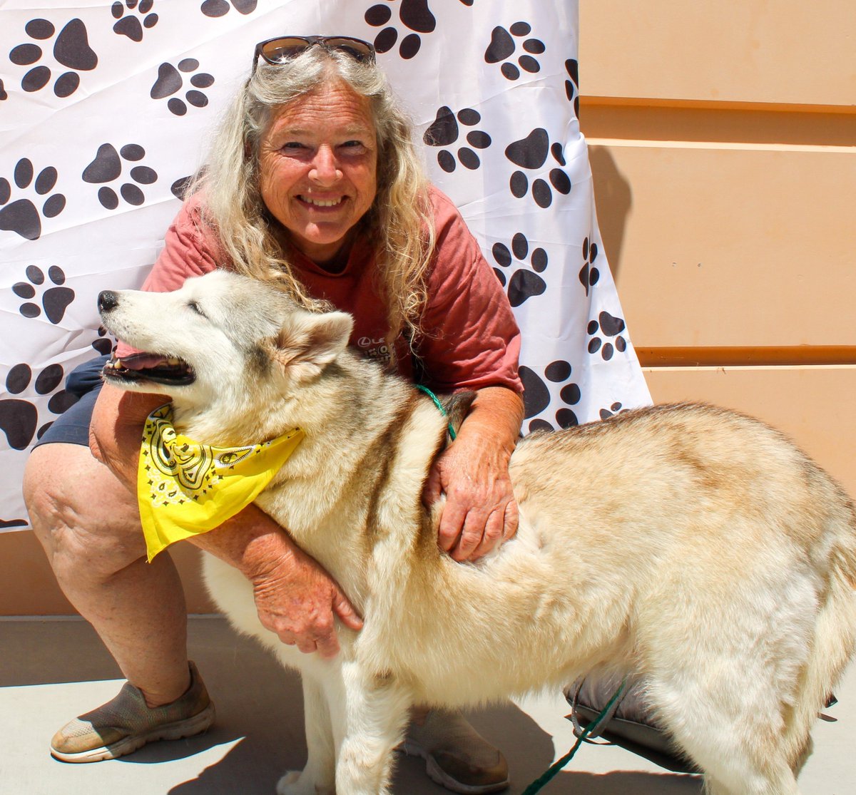 Supervisor Janet Nguyen (@senjanetnguyen) on Twitter photo I'm happy to report that OC's Clear the Shelters event last weekend with @NBC resulted in 80 animal adoptions! This included Leah, an 11-year-old husky pictured here. Thank you to all who added a new family member from <a href="/OCAnimalCare/">OC Animal Care</a>. I'm happy to report that OC's Clear the Shelters event last weekend with @NBC resulted in 80 animal adoptions! This included Leah, an 11-year-old husky pictured here. Thank you to all who added a new family member from <a href="/OCAnimalCare/">OC Animal Care</a>.