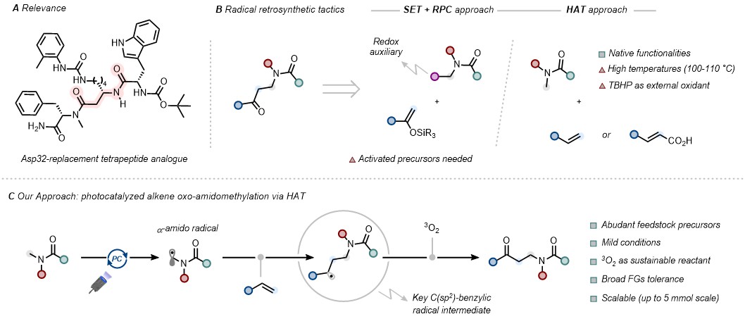 Excited to disclose this 3-component coupling of cheap amides, olefins &amp; O2 to give directly N-(γ-oxopropyl)amide scaffolds under photocatalytic💡d-HAT! A treat to collab. w/ <a href="/NoelGroupUvA/">Noel Research Group</a> on this via Mattia's international exchange <a href="/idk_pec/">pec_idk</a>, congrats all!
tinyurl.com/5eepy2vv