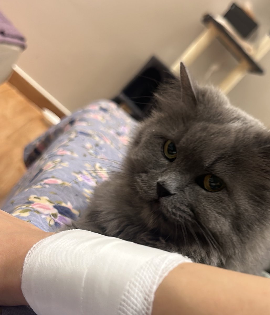 نظره الي خلك تستاهلين