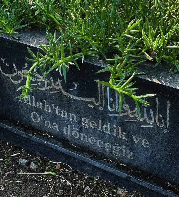 Güne not: Asıl renkleri gördüğünde gerçek hayat başlayacak.