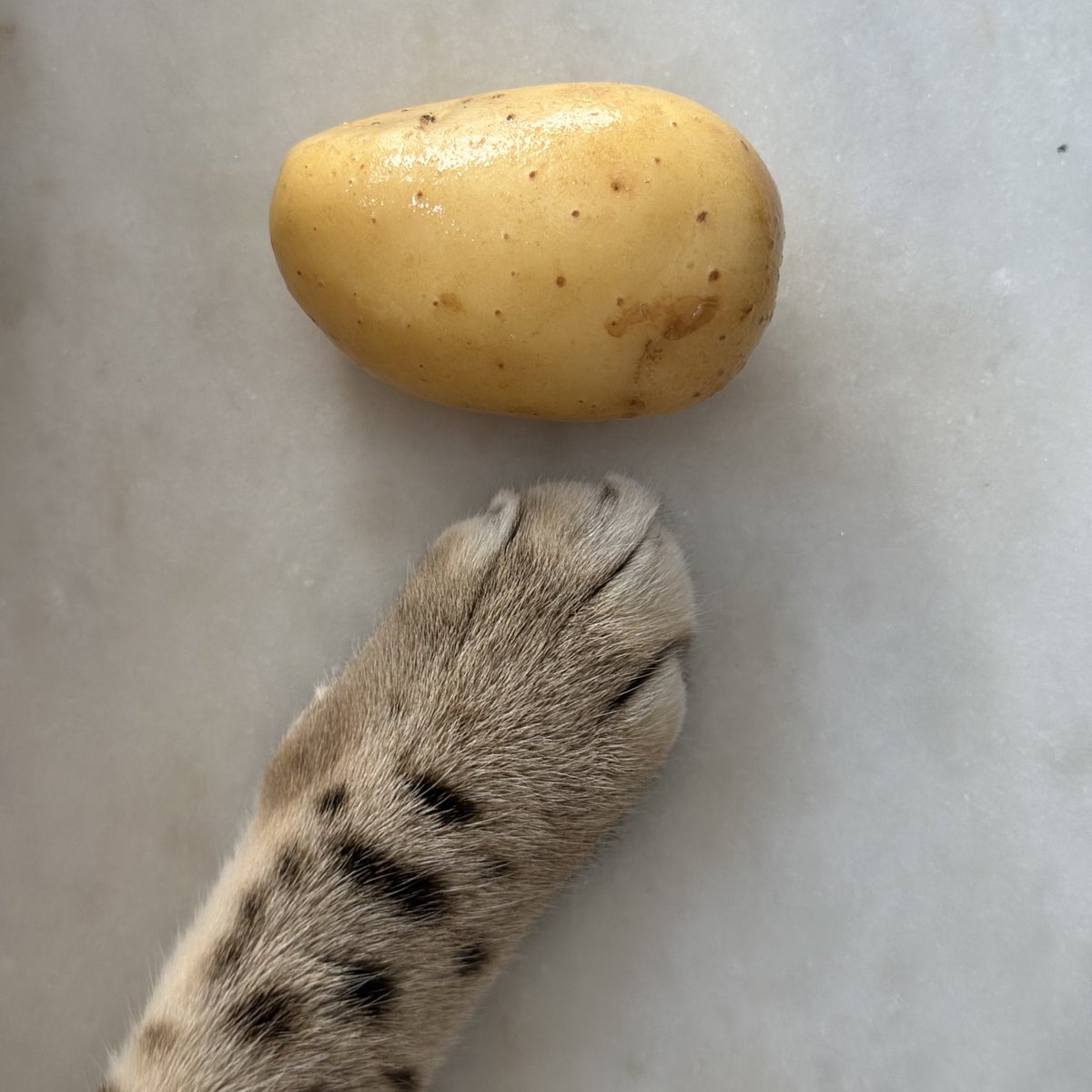 У нас в семье новый белорус