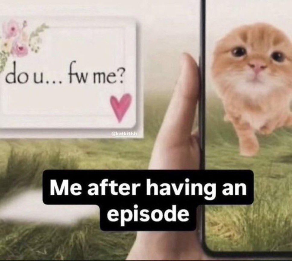 LiterallyMeCats (@literallymecats) on Twitter photo 