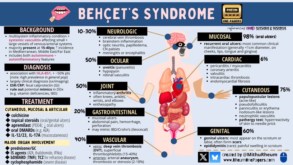 🆕 Behçet's Disease: Let’s explore this multi-system #vasculitis 💫

👄 Oral/Genital Ulcers
🩸 DVT, Arterial Aneurysm
👁️ Uveitis
🧠 Neurologic Involvement
🖐️ Cutaneous / Pathergy

#RheumTwitter #Behcets #RheumX