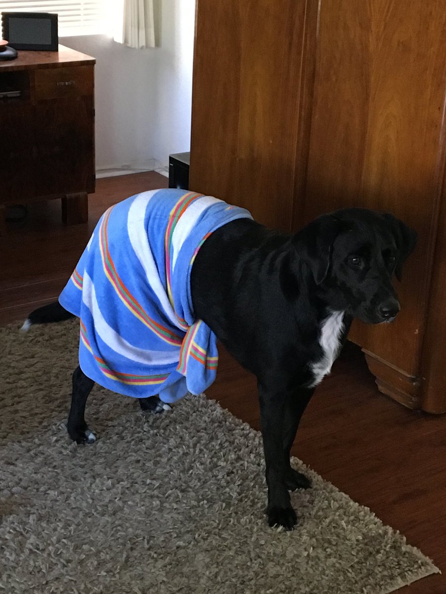 7 year old me waiting for my mom to choose my outfit after taking a shower.