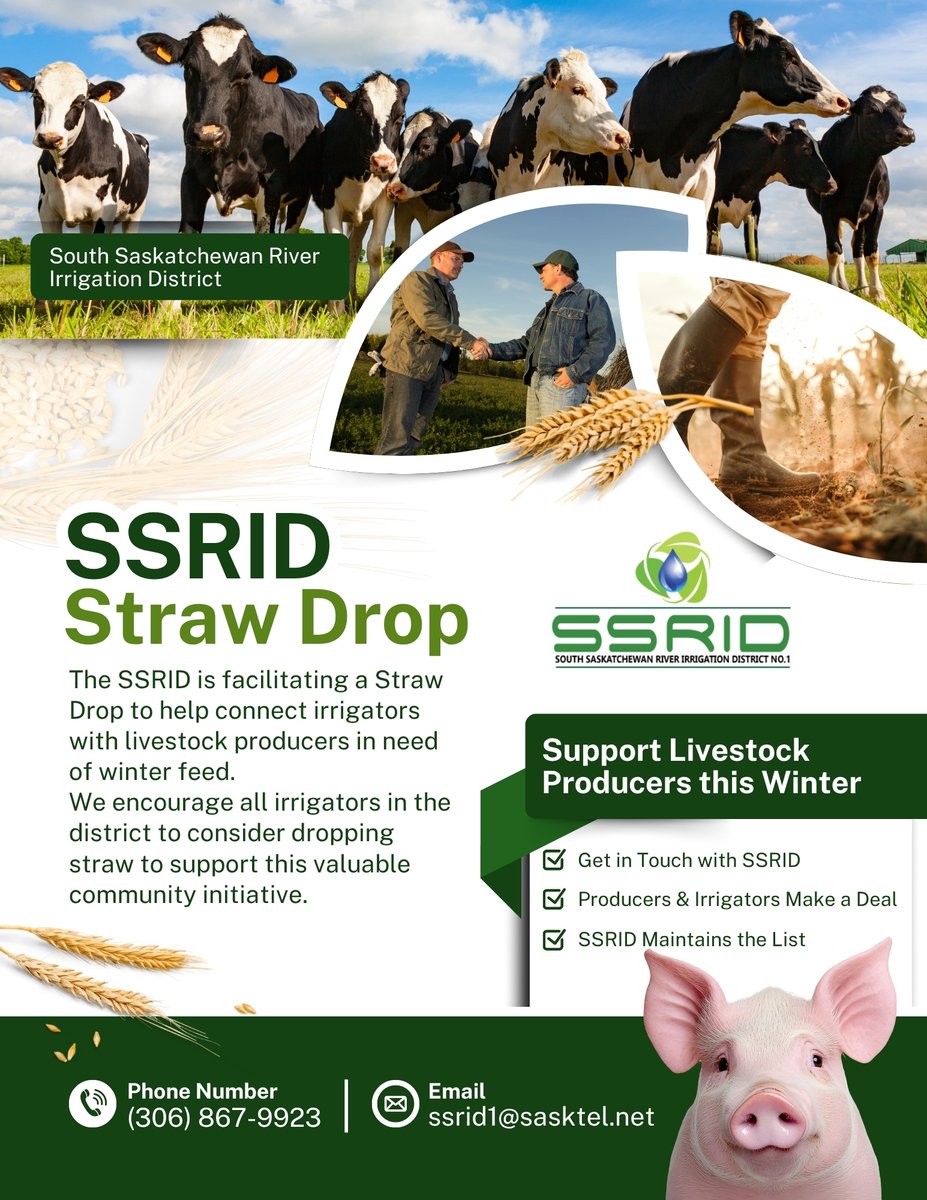 Irrigation Saskatchewan (@irrigatesask) on Twitter photo The SSRID is facilitating a Straw Drop to help connect irrigators with livestock producers in need of winter feed.
We encourage all irrigators in the district to consider dropping straw to support this valuable community initiative!
Email: ssrid1@sasktel.net
#StrawDrop The SSRID is facilitating a Straw Drop to help connect irrigators with livestock producers in need of winter feed.
We encourage all irrigators in the district to consider dropping straw to support this valuable community initiative!
Email: ssrid1@sasktel.net
#StrawDrop
