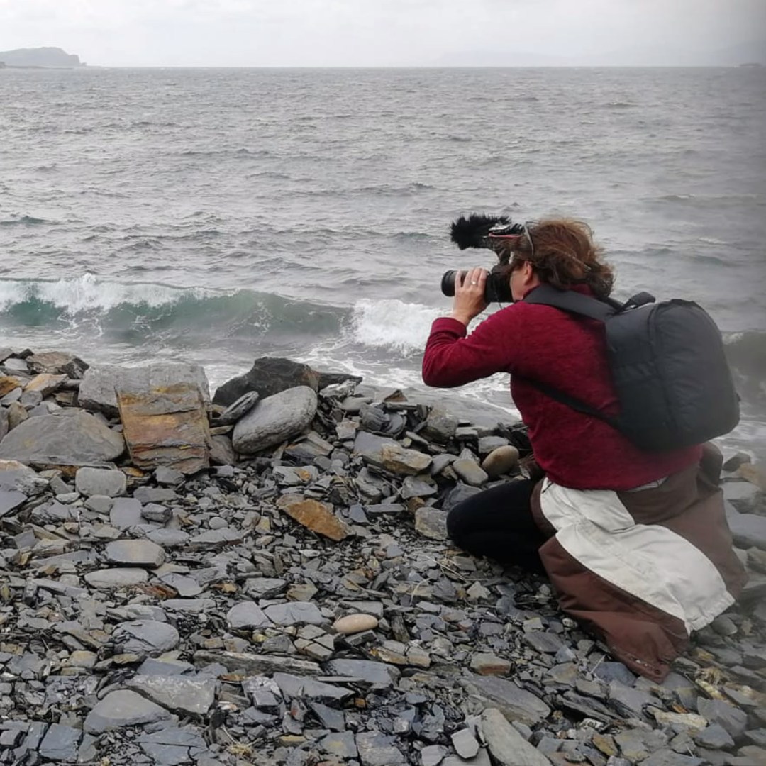 SCGeopoetics tweet media