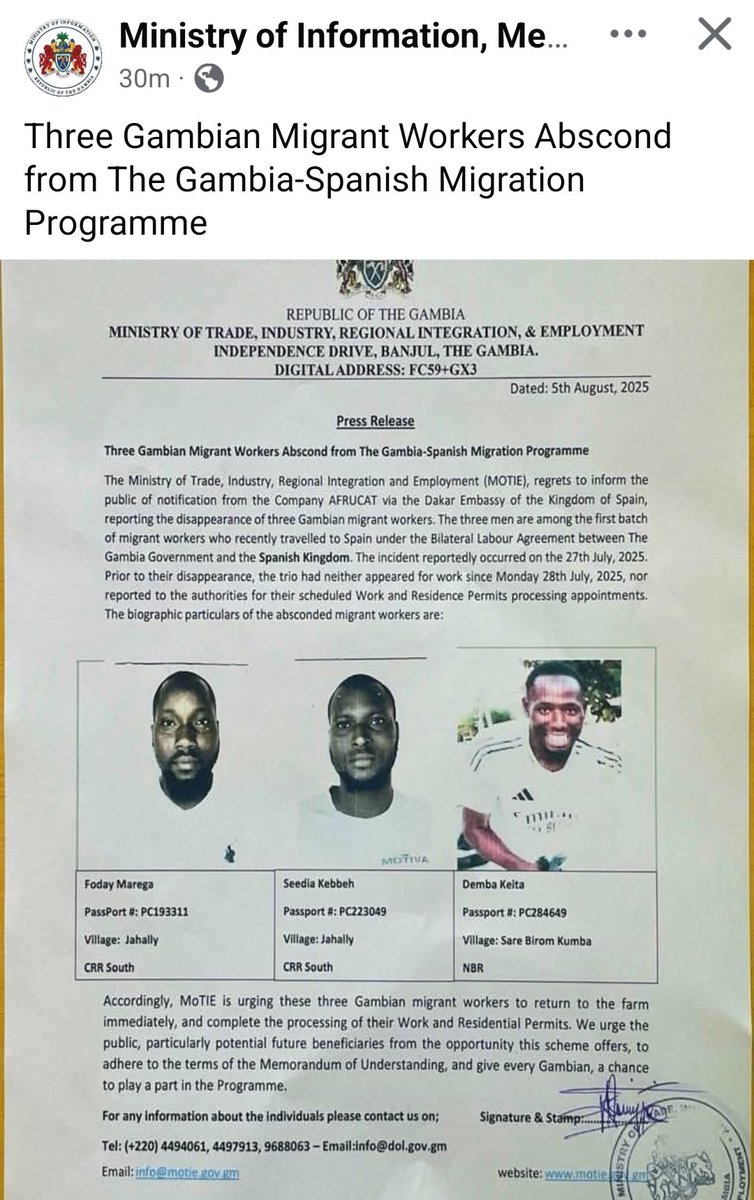 Three Gambians from the first batch sent to Spain for work under a gov’t deal have absconded.

Selected from 10,000+ hopefuls.

Will this mess up the whole deal? Or is round two still on? 🤔🇬🇲🇪🇸 #Migration #Gambia #SpainDeal