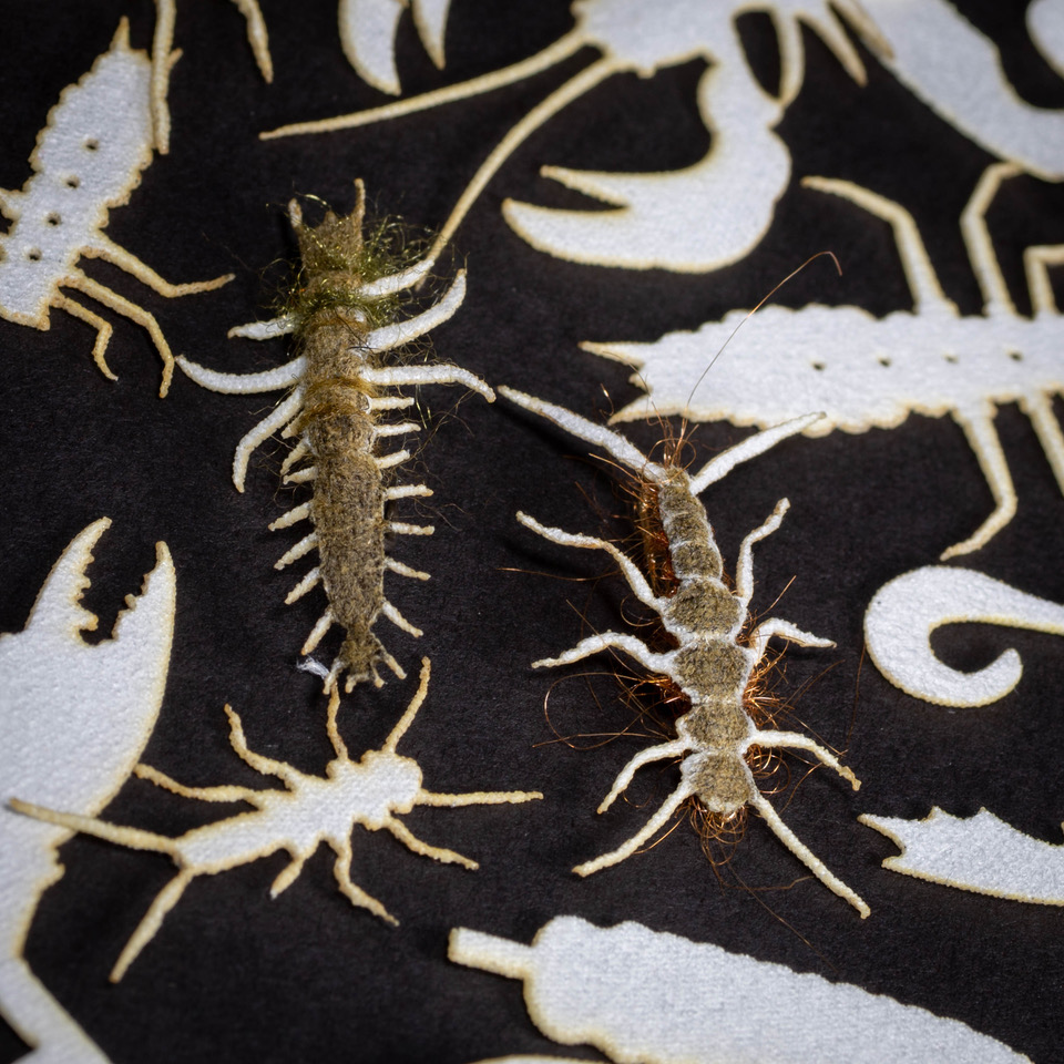 From Hellgrammites to Stonefly &amp; Crawdads to Squid. Our new ABCs are sure to find a purpose in your fly tying &amp; fishing!
For more information and to order, follow the link below!
semperfli.net/abcs-andys-bug…