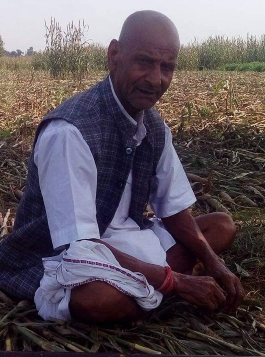 रिटायरमेंट के बाद का दर्द

शहर कोरबा में बसे नेहरू नगर में एक आईएएस अफसर रहने के लिए आए जो हाल ही में सेवानिवृत्त हुए थे।‌ ये बड़े वाले रिटायर्ड आईएएस अफसर हैरान-परेशान से रोज शाम को पास के पार्क में टहलते हुए अन्य लोगों को तिरस्कार भरी नज़रों से देखते और किसी से भी बात नहीं करते