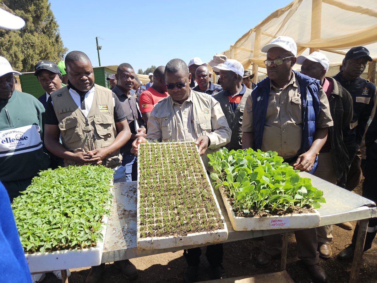 MinofLands,Agric,Fisheries,Water&Rural Development (@molafwrd_zim) on Twitter photo Horticulture on the rise!
At Blue Ridge Farm, Perm Sec Prof dr. Obert Jiri hailed farmer(Mrs I .Makamba) innovation & organic fertiliser use as key to cutting costs & boosting yields.
Potatoes, blueberries, chillies & more leading Zim’s $2B agri push.<a href="/obertjiri/">Obert Jiri</a>
<a href="/ZBCNewsonline/">ZBC News Online</a> Horticulture on the rise!
At Blue Ridge Farm, Perm Sec Prof dr. Obert Jiri hailed farmer(Mrs I .Makamba) innovation & organic fertiliser use as key to cutting costs & boosting yields.
Potatoes, blueberries, chillies & more leading Zim’s $2B agri push.<a href="/obertjiri/">Obert Jiri</a>
<a href="/ZBCNewsonline/">ZBC News Online</a>