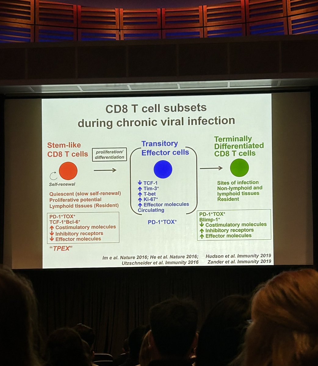 Great talks at the Gene Lay Institute Annual Symposium at Harvard Medical School this morning. T-cell Exhaustion, my favourite! #Harvard #Immunology
