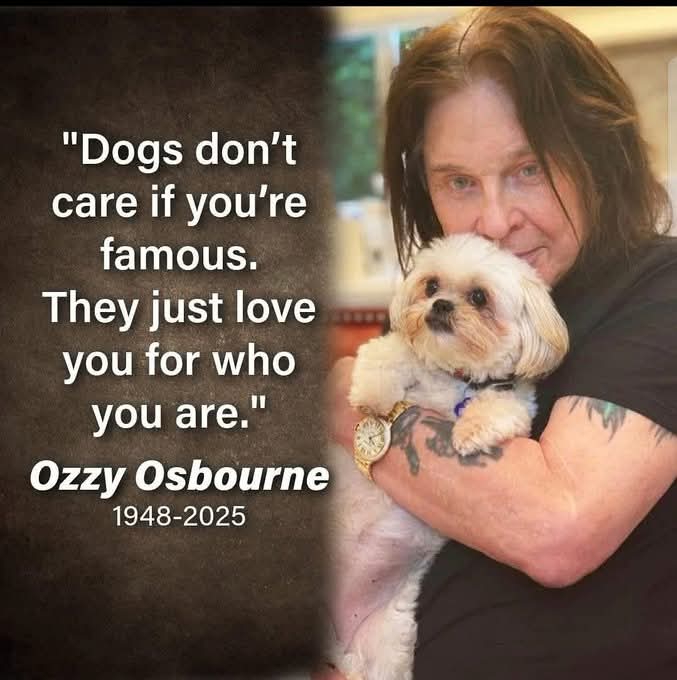 ❤️❤️❤️❤️❤️❤️🐶🐶🐶🐶