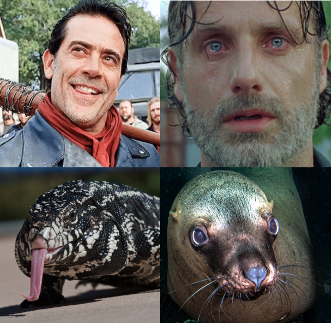 inspired by that one post