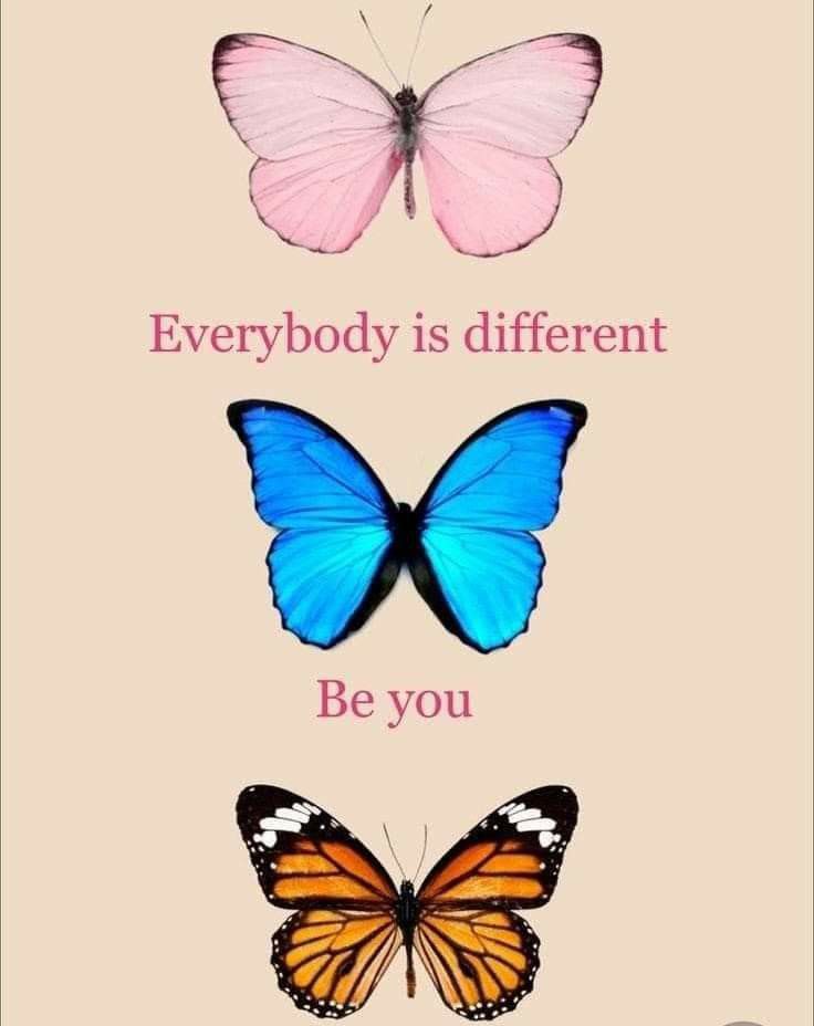 🦋🦋🦋🦋🦋🦋🦋