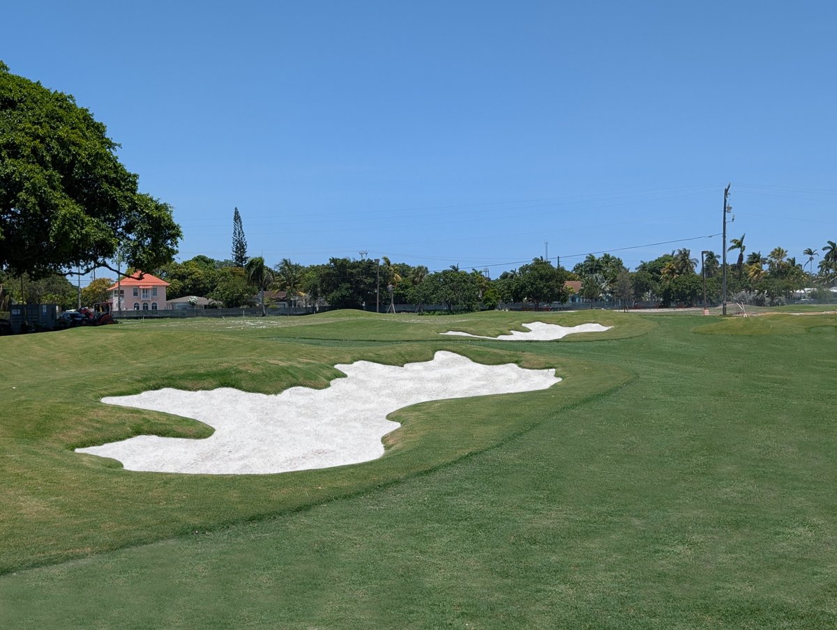 Richard Mandell Golf Architecture (@richardmandell) on Twitter photo Grass continues to grow-in at an exceptional rate at Hollywood Beach Golf Club. Putting surfaces have all been finalized and await sprigging and all the bunkers have been finished as well as <a href="/QGSDevelopment/">QGS Development</a> wraps up the work and McCumber Golf continues the grow-in process. Grass continues to grow-in at an exceptional rate at Hollywood Beach Golf Club. Putting surfaces have all been finalized and await sprigging and all the bunkers have been finished as well as <a href="/QGSDevelopment/">QGS Development</a> wraps up the work and McCumber Golf continues the grow-in process.