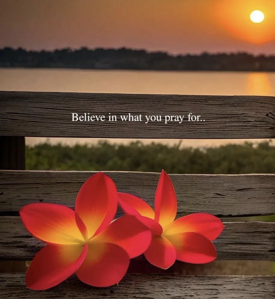 11:11
🌻
Lots of love happiness n good health 🧿

<a href="/karanvirsharma9/">Karanvir Sharma</a>