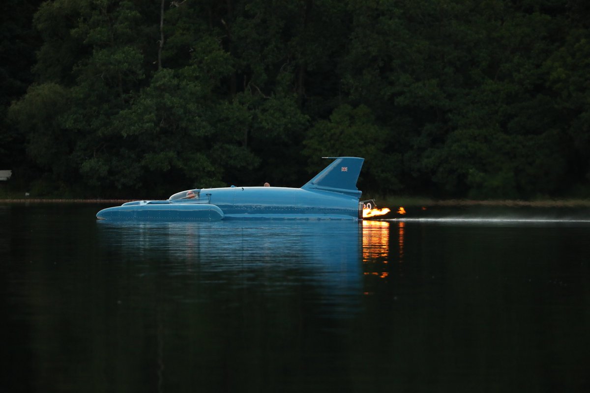 The Bluebird Project tweet media