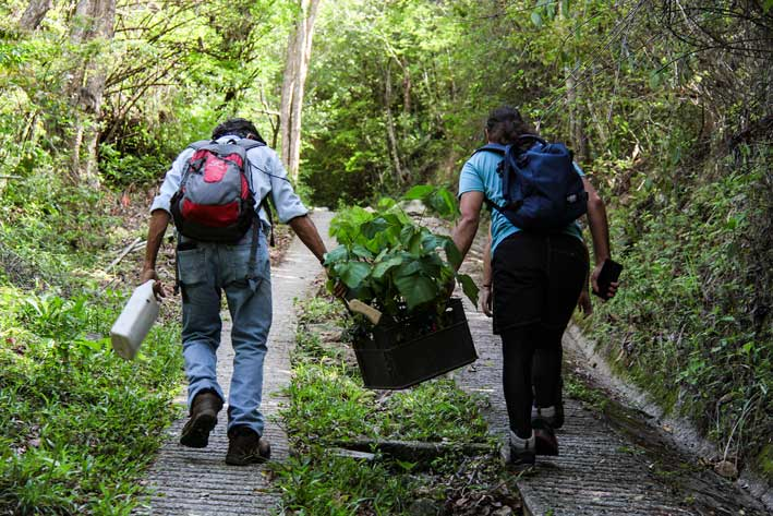 #6Ago

🌱 El Amazonas y el Waraira Repano se abrazan en un esfuerzo para restaurar la biodiversidad caraqueña. ¡Reforestar es tarea de todos! Descubre cómo este proyecto está dando vida a un bosque en recuperación.

✍️Adriana Rodríguez
📸<a href="/nathan_1969/">Nathan</a>

📰 lainventadera.com/2024/06/17/el-…