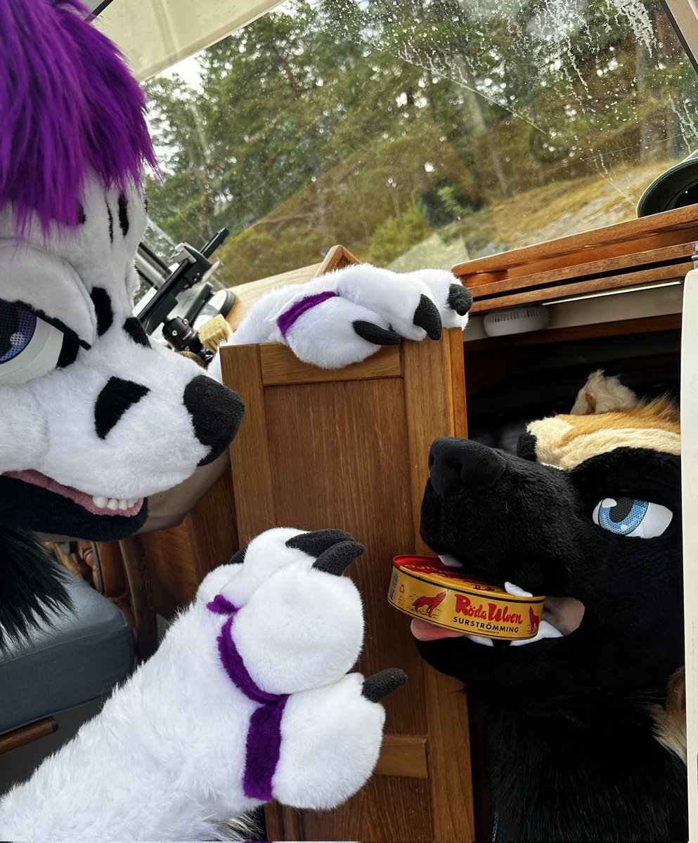 You cannot handle my strongest surströmming <a href="/Normaly0/">Normaly Pilferer Of Kindling 🏳️‍🌈🇺🇦</a>