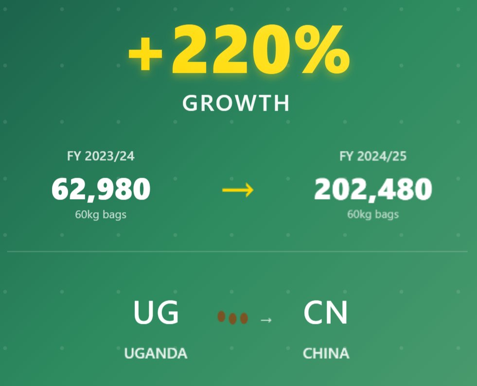 Uganda's coffee exports to China have SKYROCKETED up 220%!
🇺🇬 is rising as Africa’s No.1 coffee powerhouse.
From 62,980 ➡️ 202,480 bags (60kg bags) in just one year.