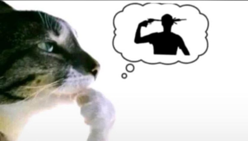 Mary (@marylicious0) on Twitter photo 