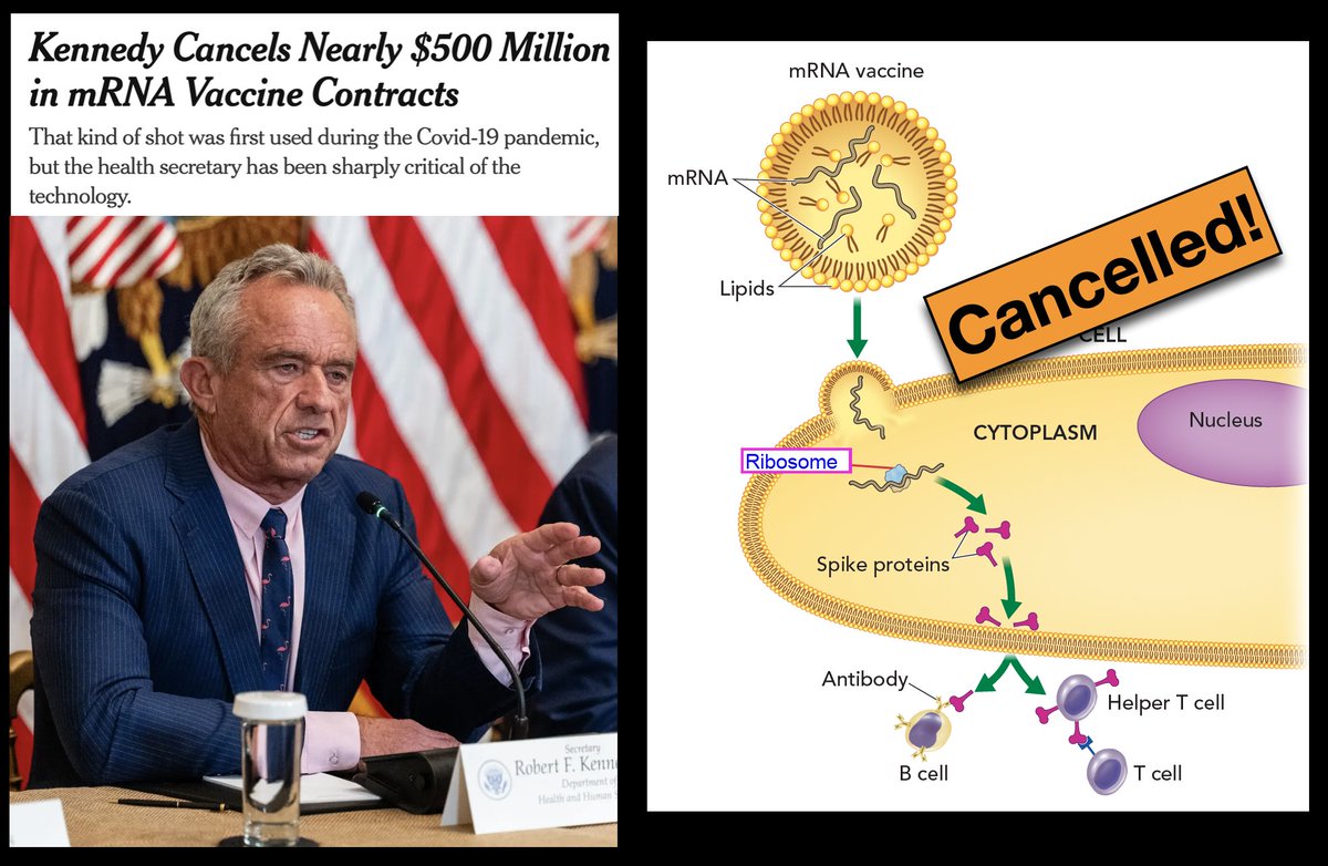 kenneth r miller (@kennethrmiller) on Twitter photo How stupid to say, "Let's NOT USE the most effective tool we have to prepare for the next pandemic"? 
How foolish to decide, "Let's NOT RESEARCH new ways to fight cancer and disease?"
How sad that this guy is supervising the utter destruction of American biomedical science. How stupid to say, "Let's NOT USE the most effective tool we have to prepare for the next pandemic"? 
How foolish to decide, "Let's NOT RESEARCH new ways to fight cancer and disease?"
How sad that this guy is supervising the utter destruction of American biomedical science.