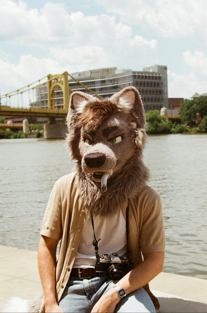 Wolf tweet media