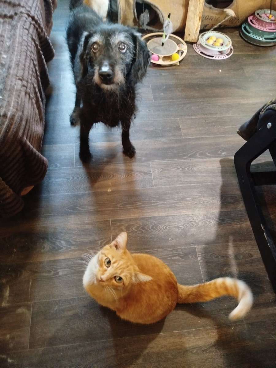 Вы не забудете про нас?..