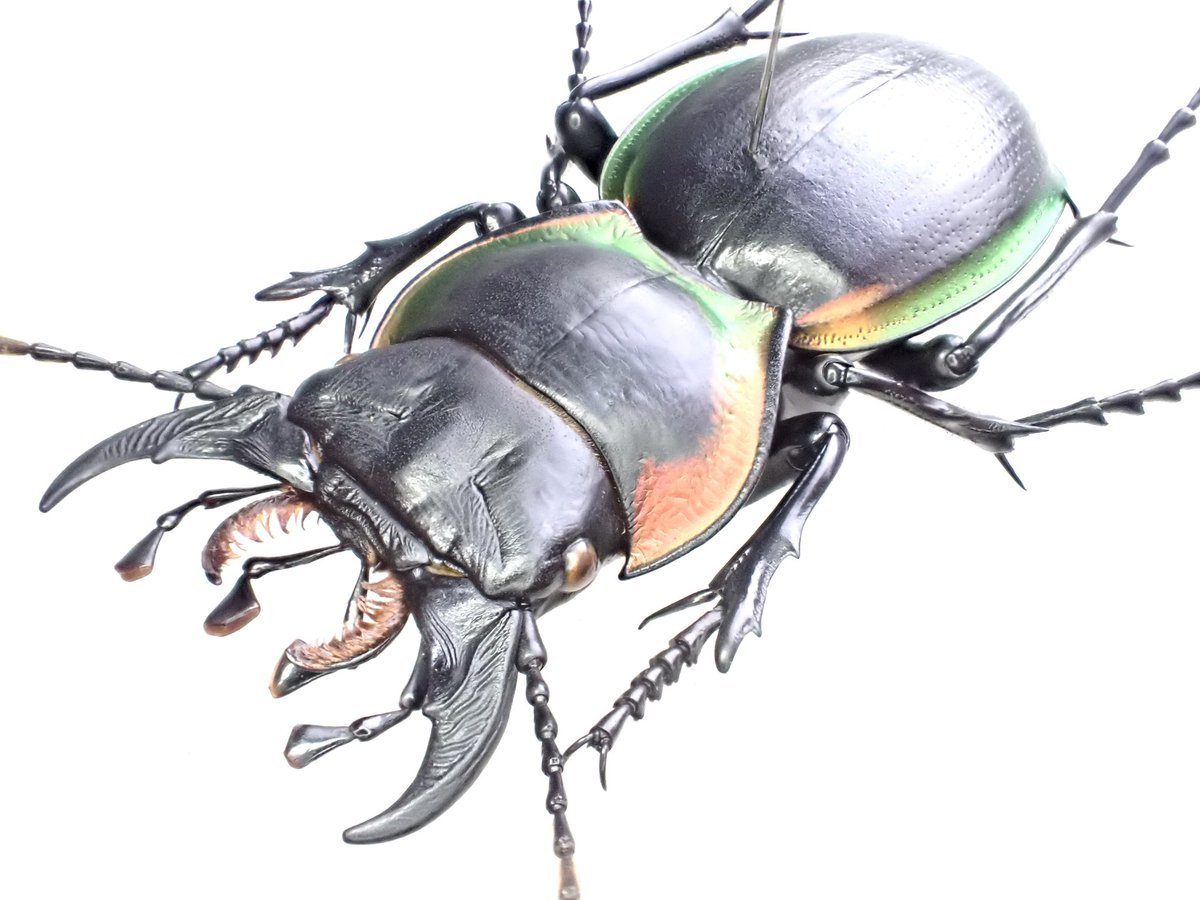 蟲眼鏡 (@meganemushi1229) / X