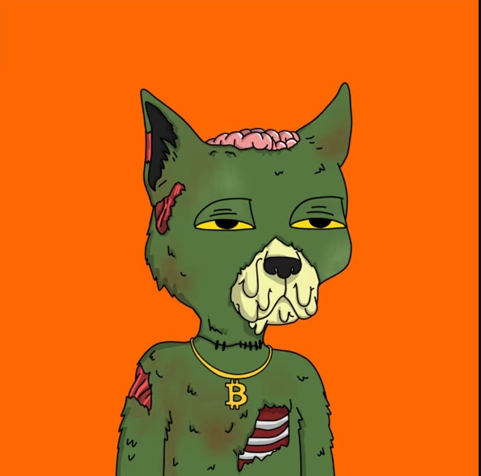 Rare cats on rare sats <a href="/GutterCatGang/">Gutter Cat Gang</a>