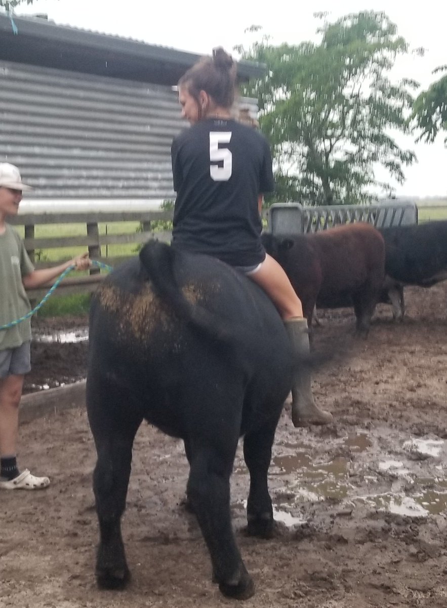 Weighing in at 1,325 #, Shaboozey(Boozey) and I placed 1st in our last JCYF progress show! It is so, rewarding to see our hard work pay off! So, proud off my big, gentle giant!