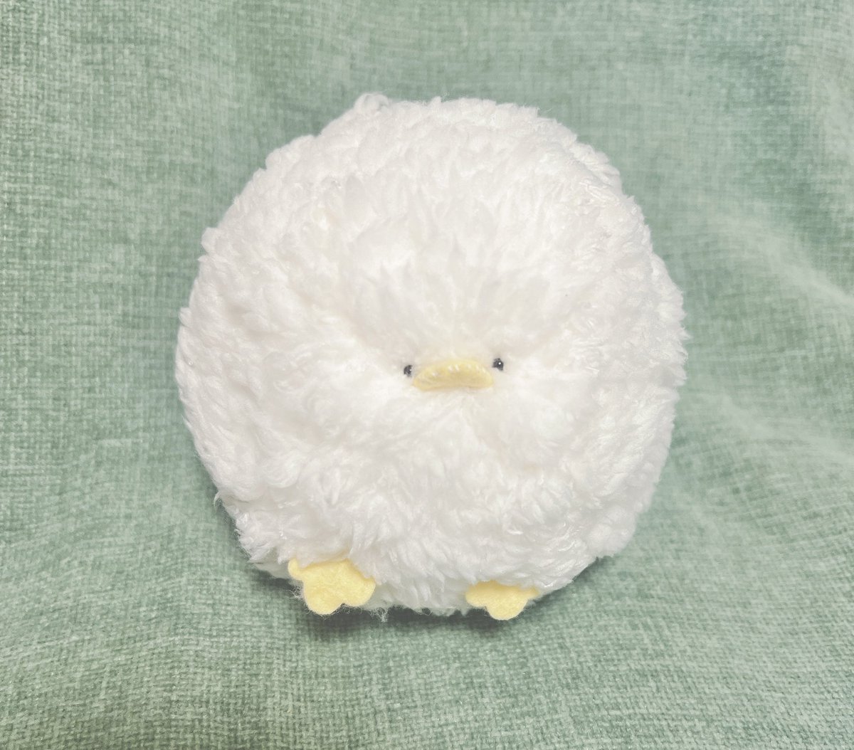 cocco🐓 (@cocco_007) / X