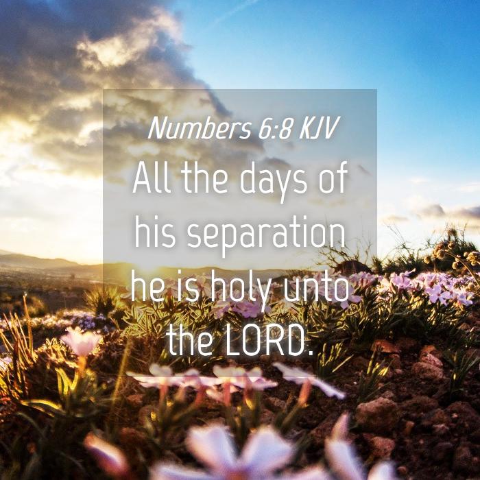 ChristaHoelter2's tweet image. #HolyScripture