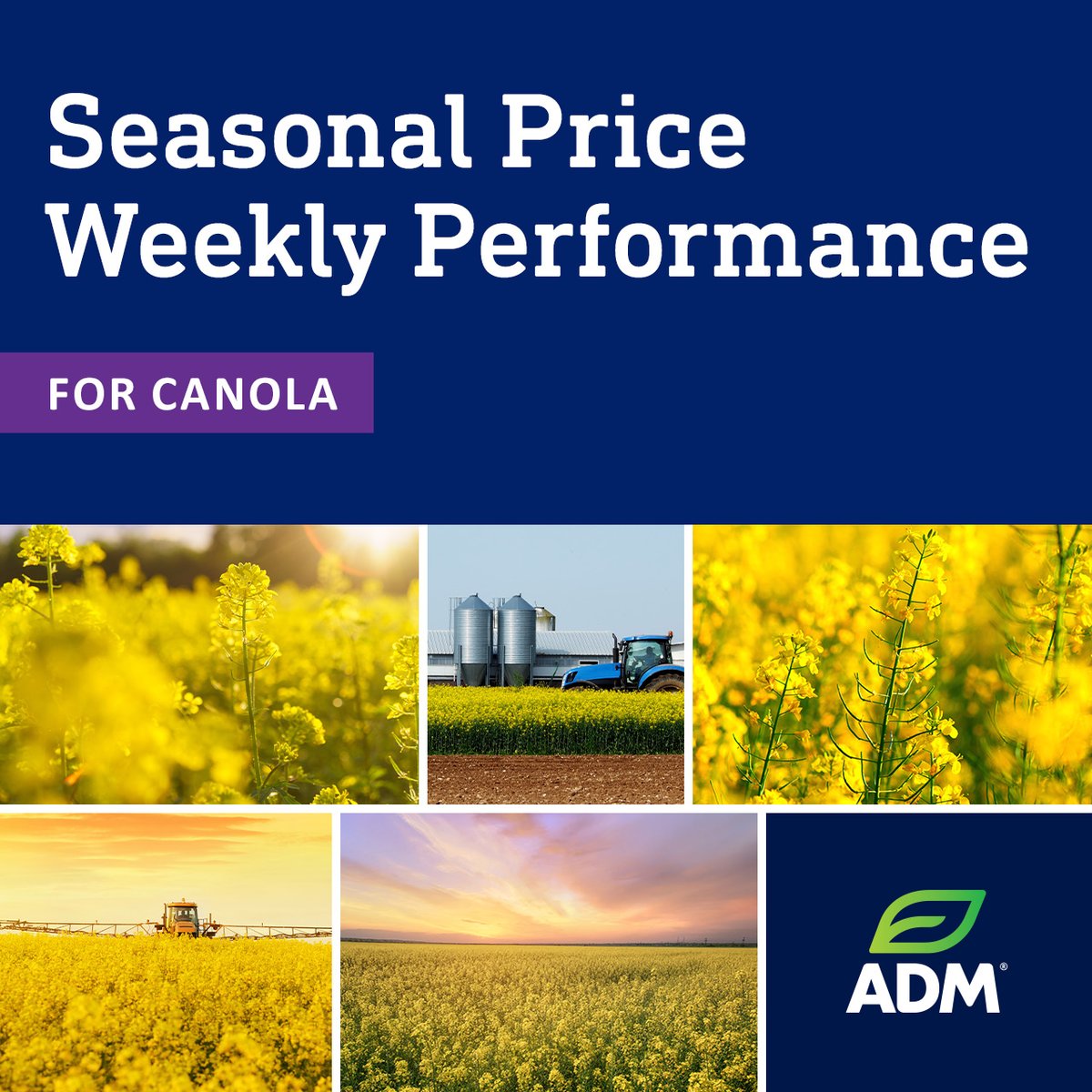 ADM Farmer Services (@admfarmservices) on Twitter photo Stay informed with our weekly Seasonal Price performance update on canola. Now available for the week of 8/4. View charts online: bit.ly/ADM_SP_Perform… Stay informed with our weekly Seasonal Price performance update on canola. Now available for the week of 8/4. View charts online: bit.ly/ADM_SP_Perform…