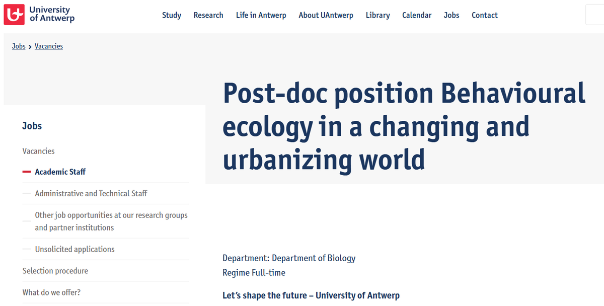 Manrico Sebastiano (@wild_smanne) on Twitter photo My research group #BECO at the <a href="/UAntwerpen/">UAntwerpen</a> is offering an opportunity to study the behaviour and behavioural responses in a changing and urbanizing world in #birds.
We are looking for a motivated post-doc researcher!
Apply here
uantwerpen.be/en/jobs/vacanc… My research group #BECO at the <a href="/UAntwerpen/">UAntwerpen</a> is offering an opportunity to study the behaviour and behavioural responses in a changing and urbanizing world in #birds.
We are looking for a motivated post-doc researcher!
Apply here
uantwerpen.be/en/jobs/vacanc…